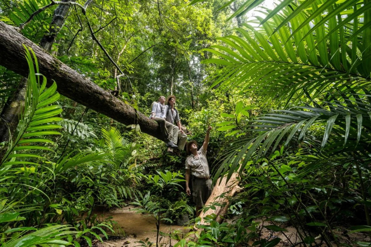 Four Seasons Resort Langkawi - Hotel Photo 33