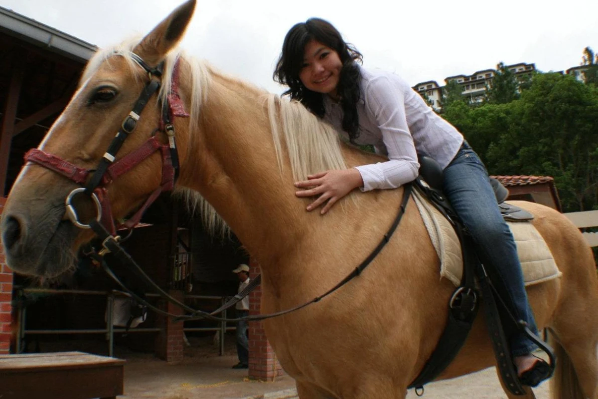 The Chateau Spa & Organic Wellness Resort - Hotel Photo 42