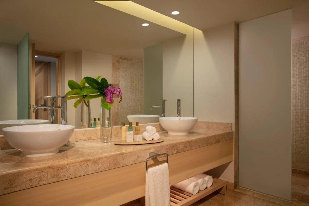 Dreams Aventuras Resort & Spa - Hotel Photo 42