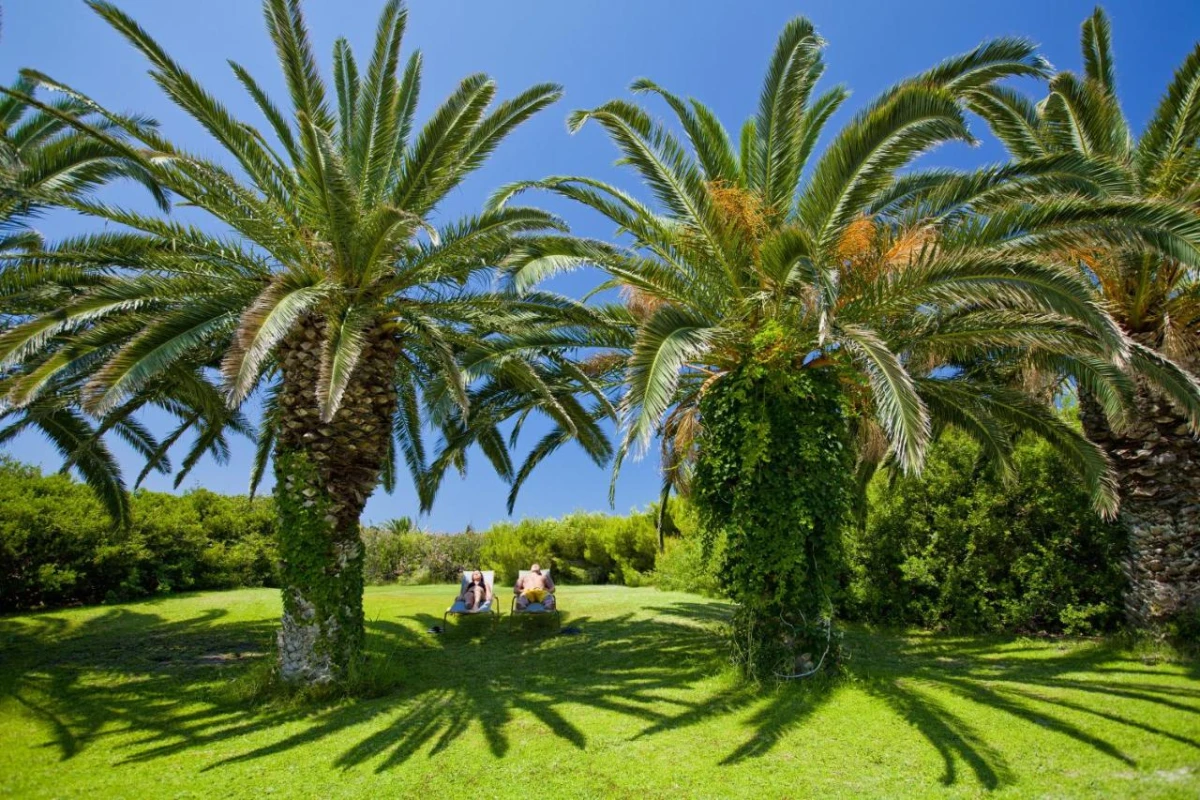 Caravia Beach - Hotel Photo 31