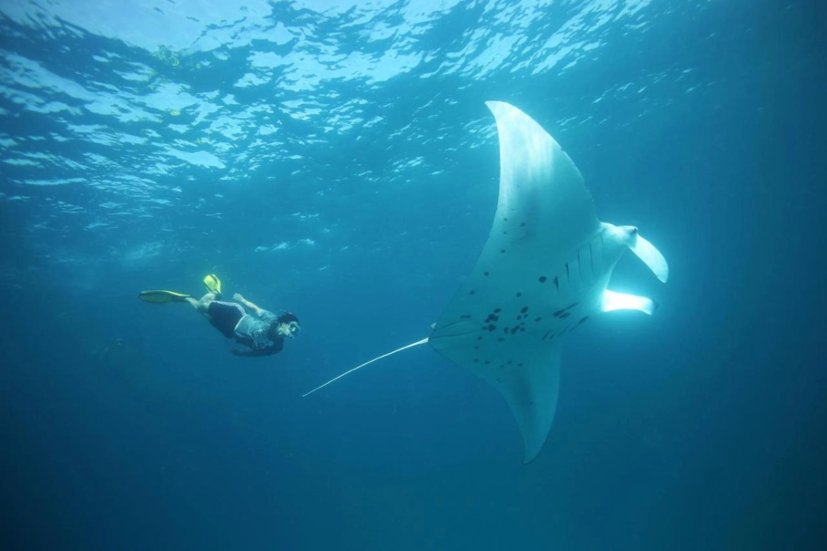 Anantara Kihavah Maldives Villas - Hotel Photo 36