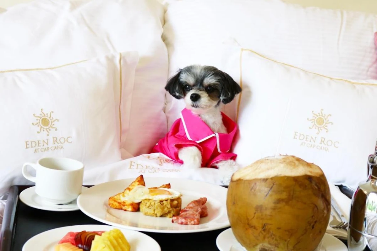 Eden Roc Cap Cana - Hotel Photo 1