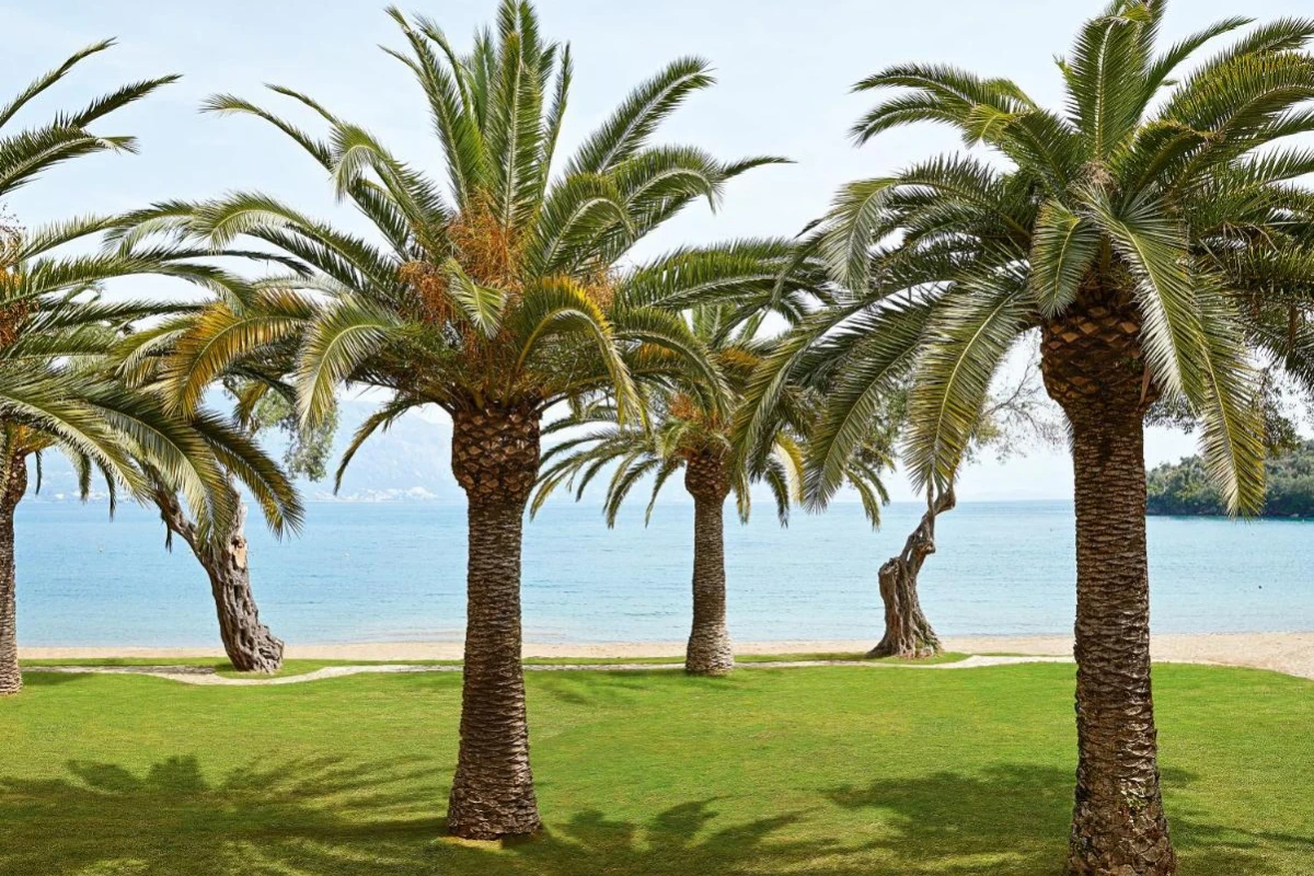 Grecotel Lux Me Daphnila Bay Dassia - Hotel Photo 5