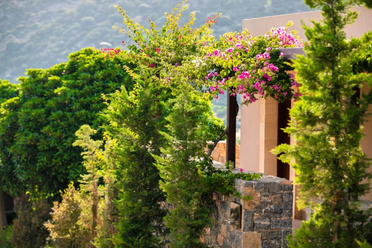 Daios Cove Luxury Resort & Villas - Hotel Photo 23