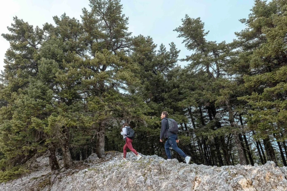 F Zeen Retreat - Hotel Photo 68