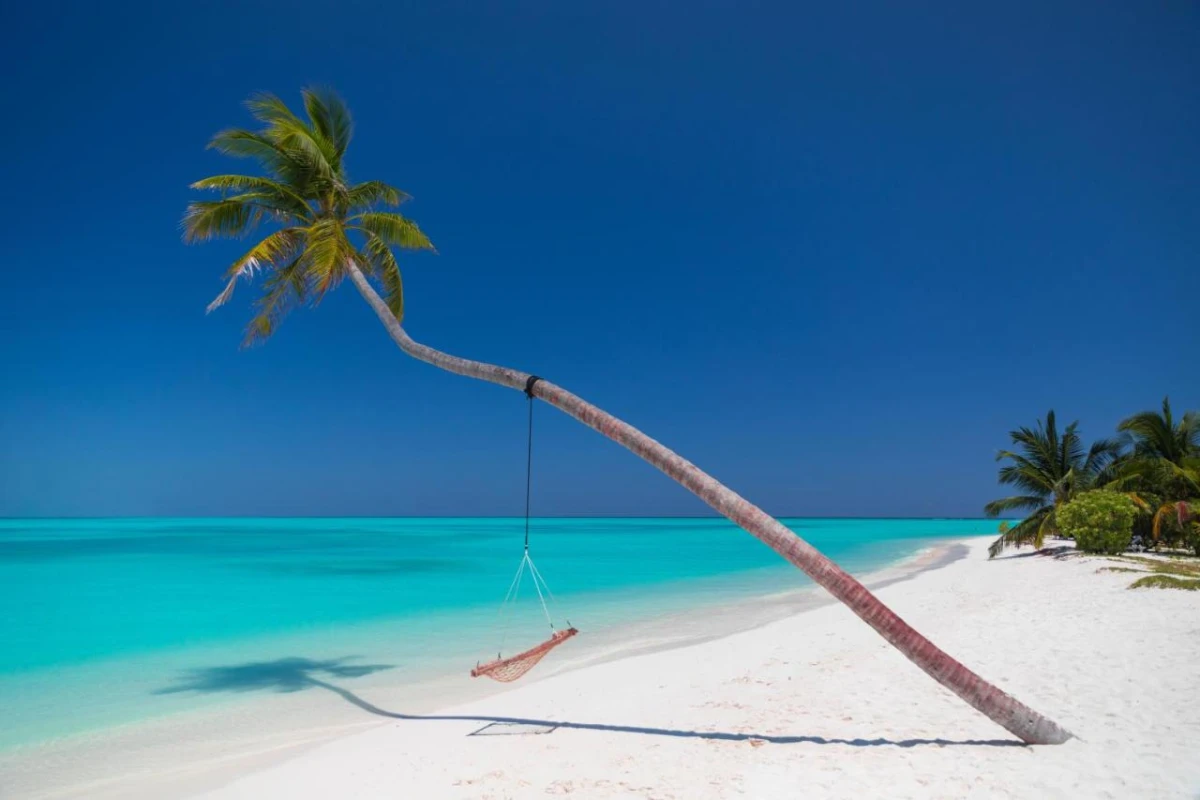 Meeru Maldives Resort Island - Hotel Photo 12