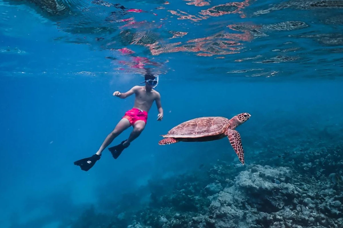 Meeru Maldives Resort Island - Hotel Photo 18