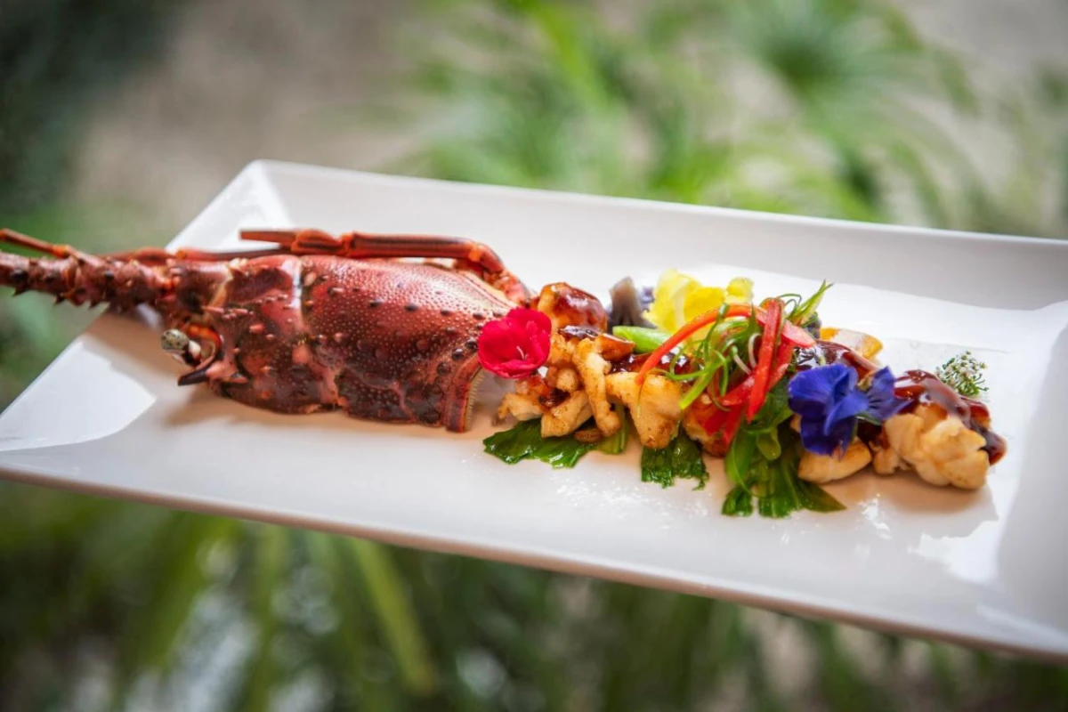 Emerald Maldives Resort & Spa - Hotel Photo 30