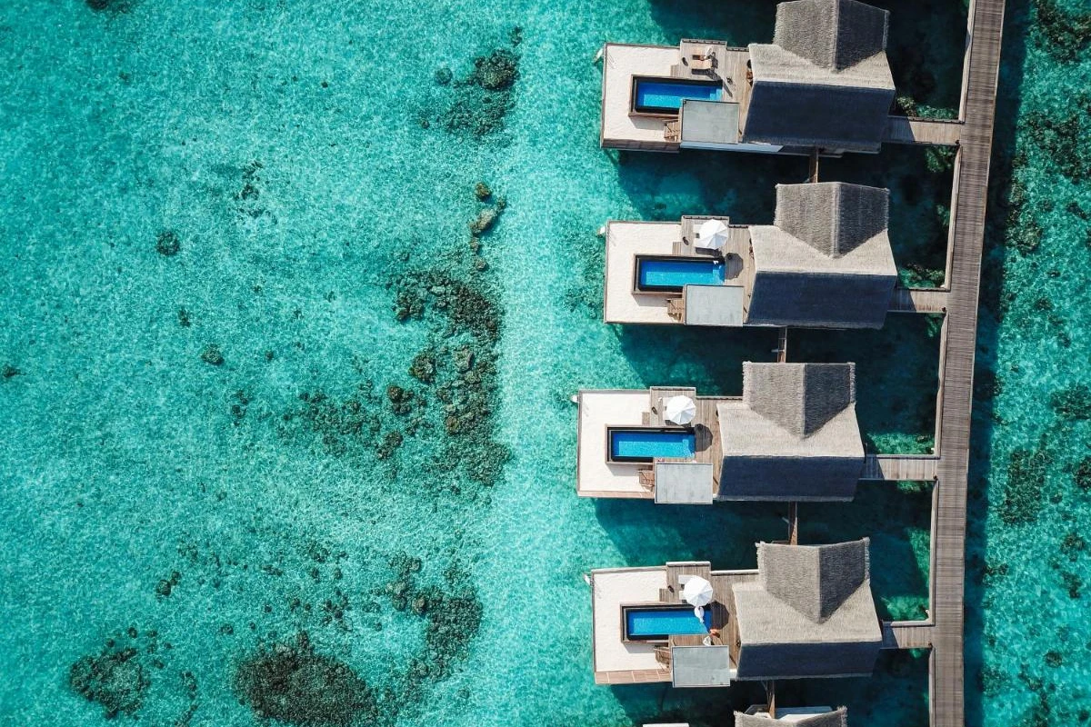 Sirru Fen Fushi Maldives Private Lagoon Resort - Hotel Photo 16