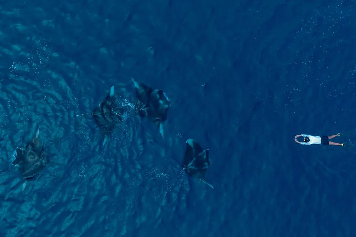 Sirru Fen Fushi Maldives Private Lagoon Resort - Hotel Photo 20