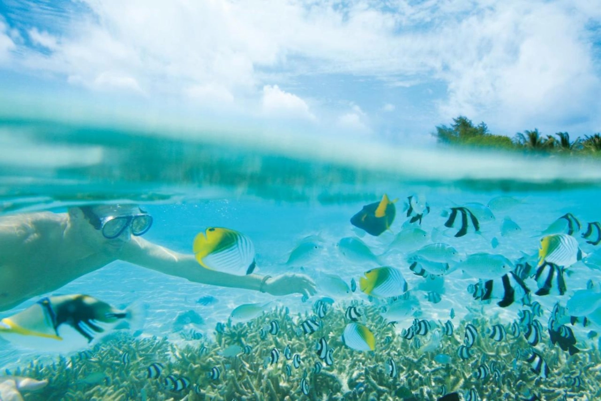 LUX* South Ari Atoll - Hotel Photo 29