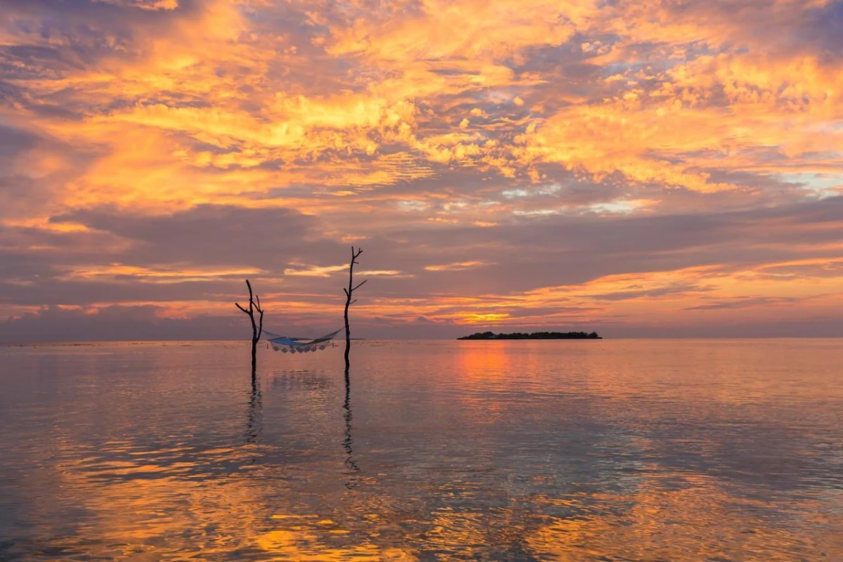 Sun Siyam Vilu Reef - Hotel Photo 50