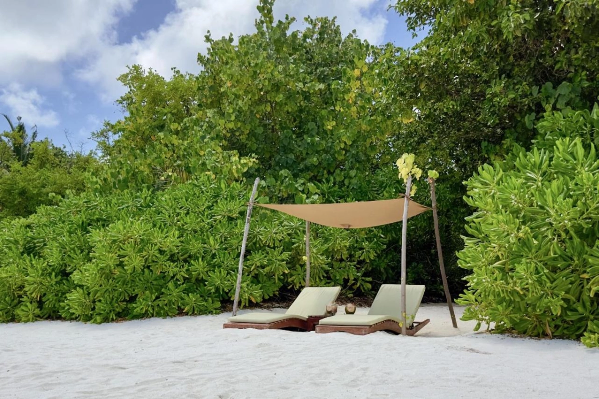 Coco Bodu Hithi - Hotel Photo 5