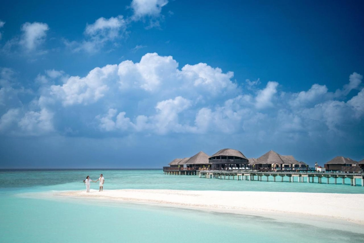 Coco Bodu Hithi - Hotel Photo 8