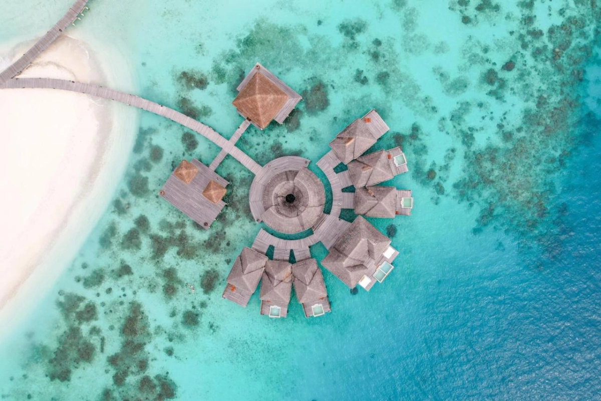 Coco Bodu Hithi - Hotel Photo 10