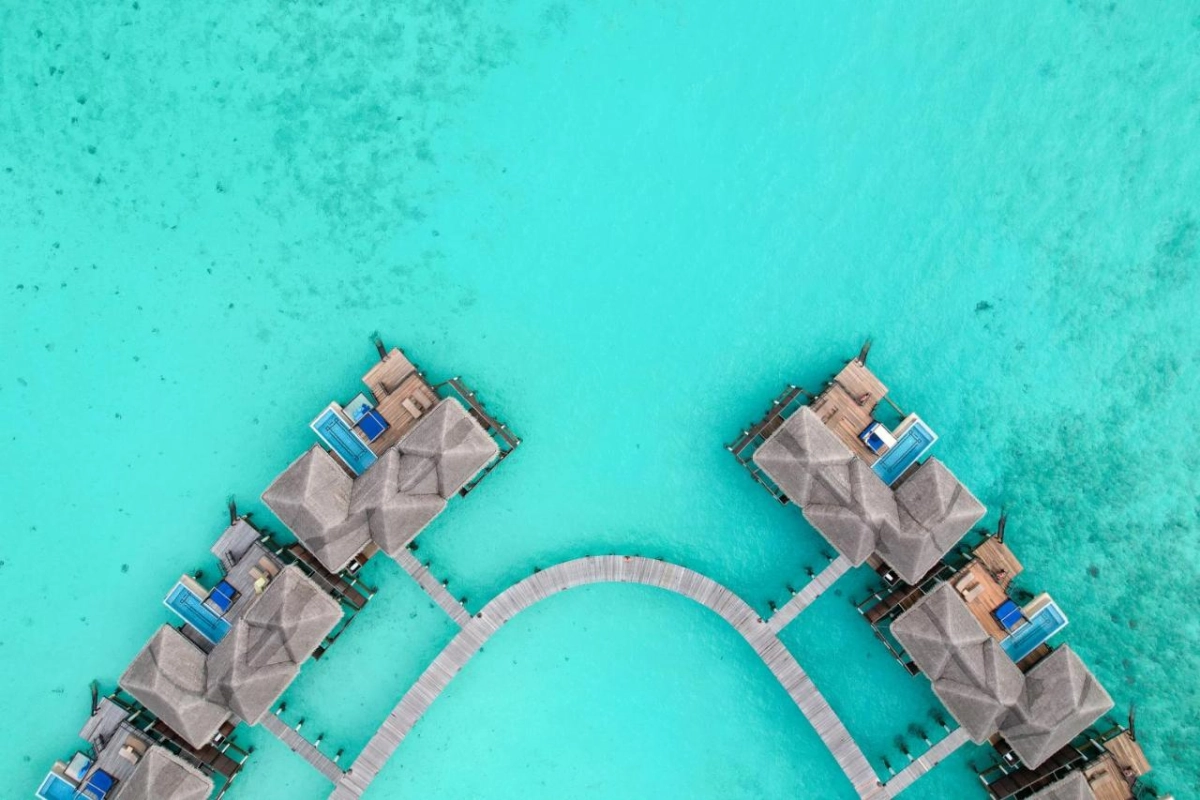 Coco Bodu Hithi - Hotel Photo 11