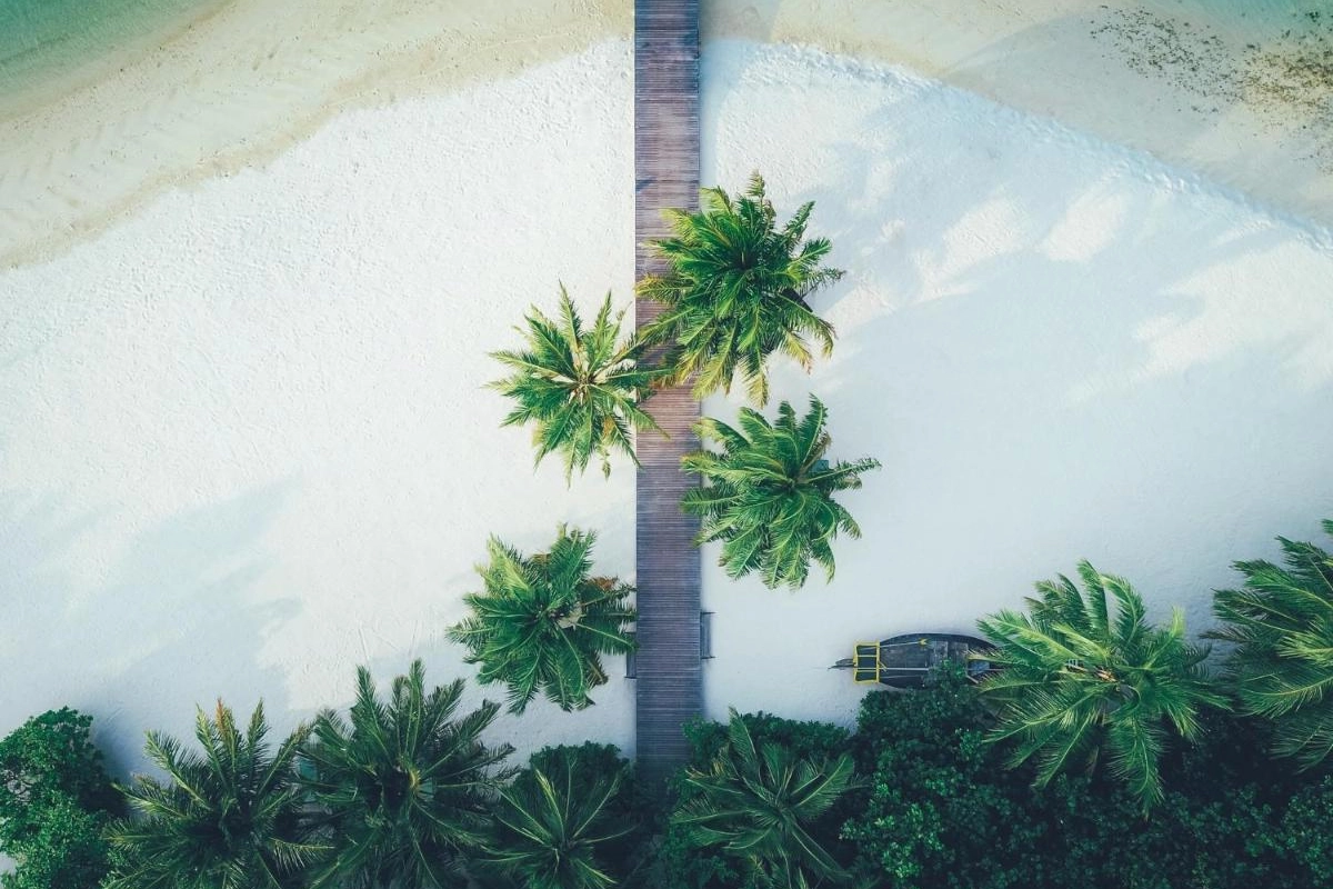 Coco Bodu Hithi - Hotel Photo 21