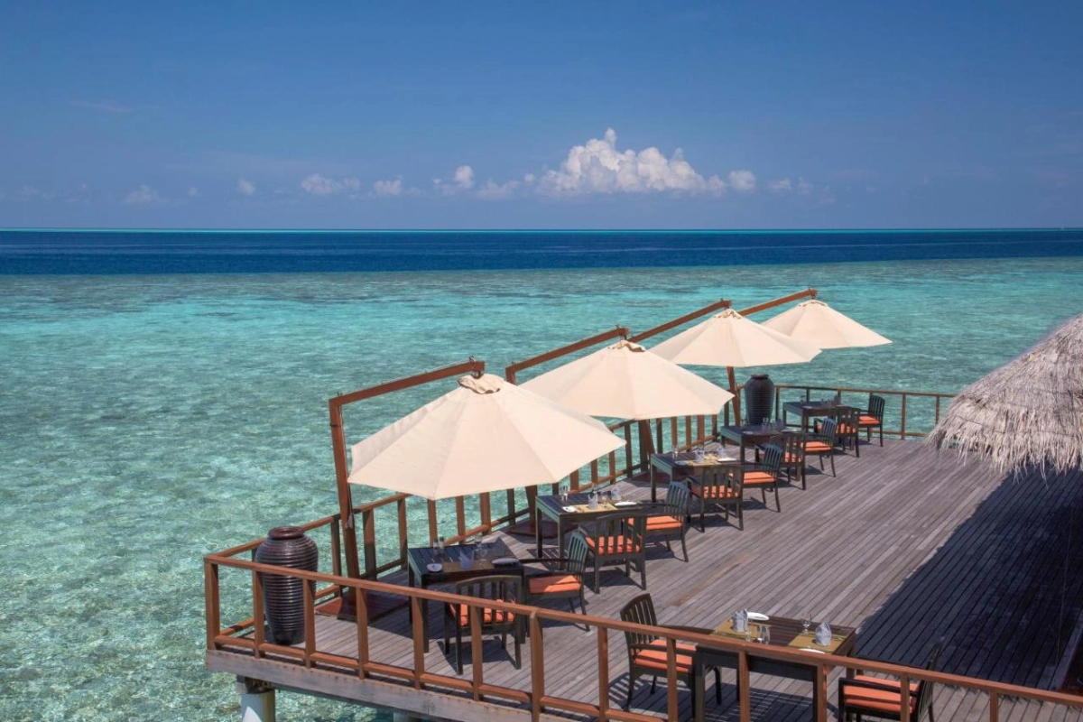 Coco Bodu Hithi - Hotel Photo 39