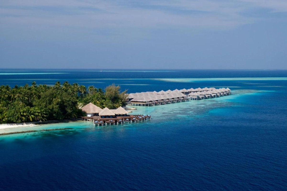 Coco Bodu Hithi - Hotel Photo 41
