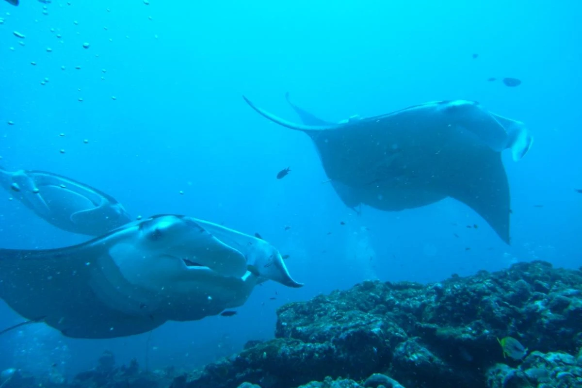 Adaaran Select Hudhuranfushi - Hotel Photo 44