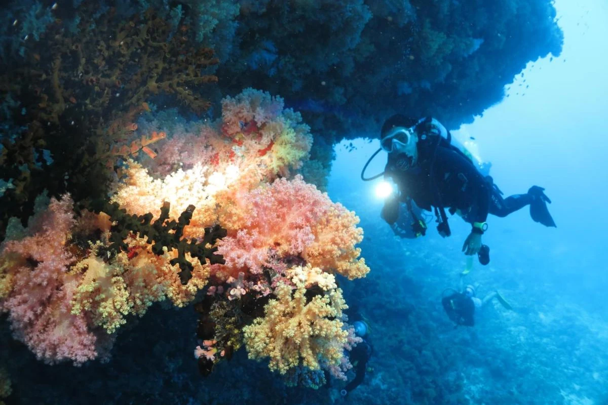 Adaaran Select Hudhuranfushi - Hotel Photo 46