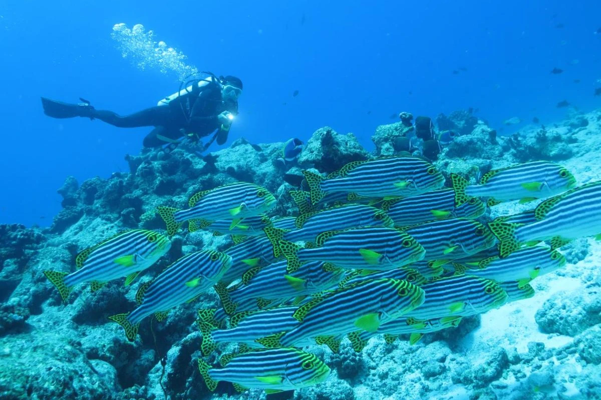 Adaaran Select Hudhuranfushi - Hotel Photo 49