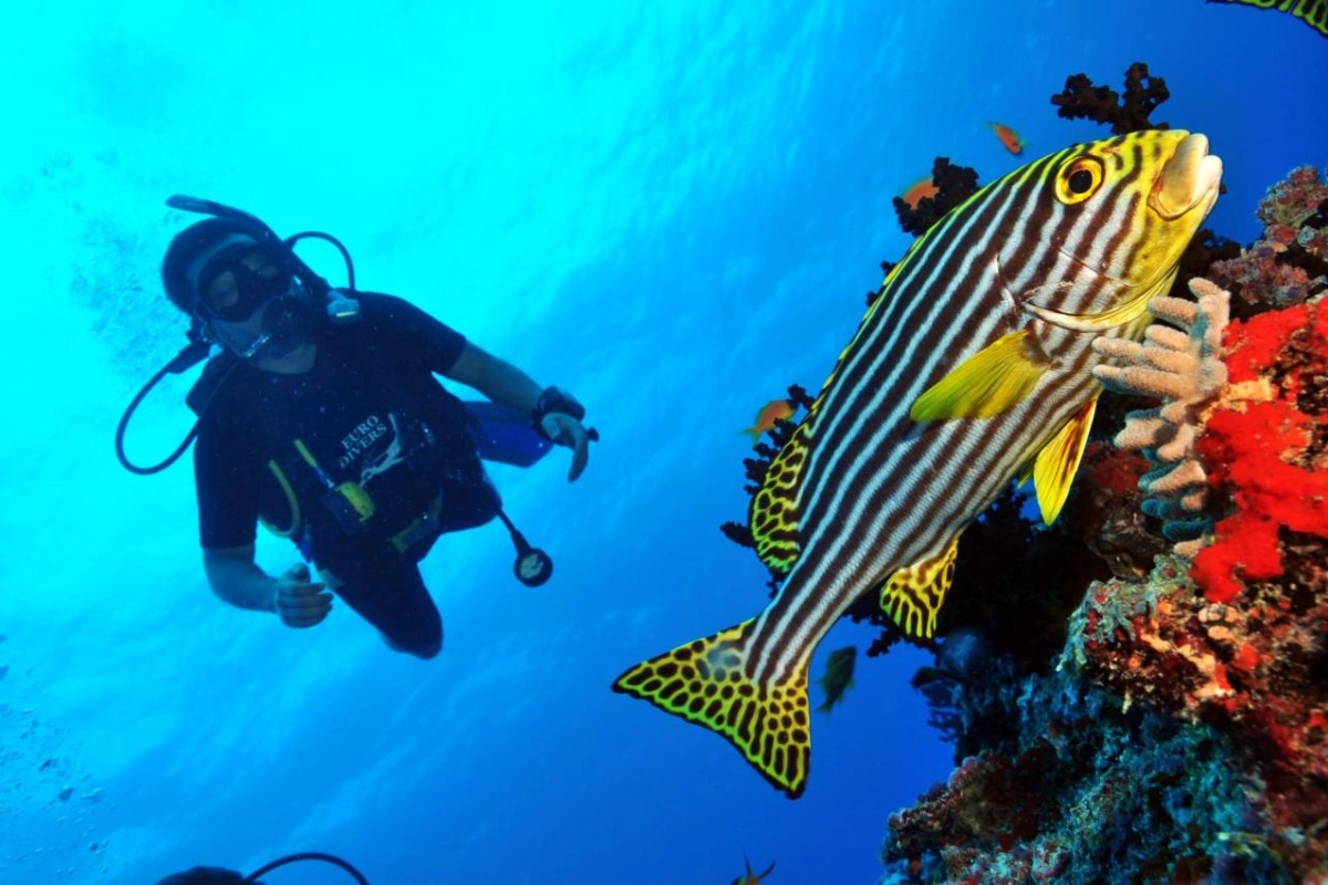 Dhigali Maldives - Hotel Photo 65