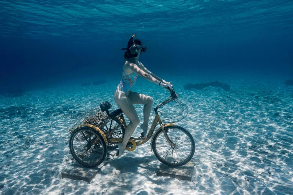 Fushifaru Maldives - Hotel Photo 19