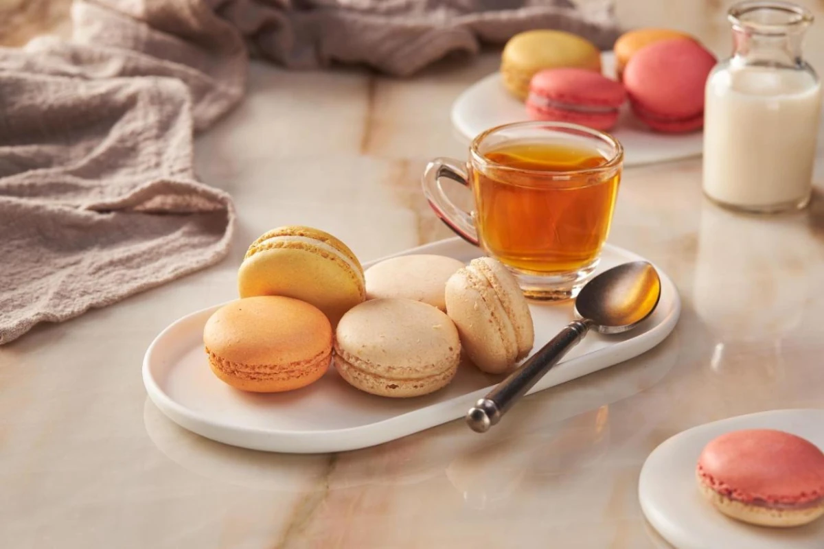 Playacar Palace - Hotel Photo 11