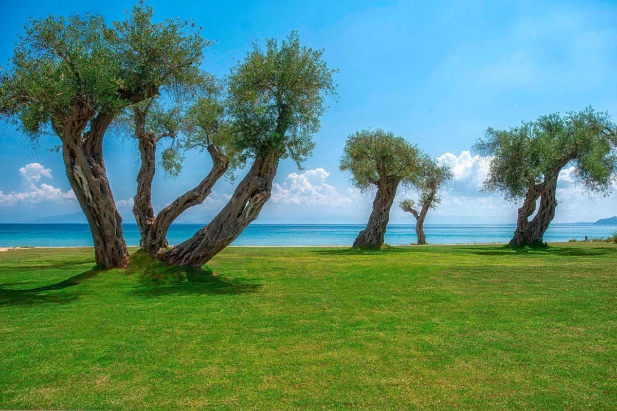 Domes Miramare - Hotel Photo 11