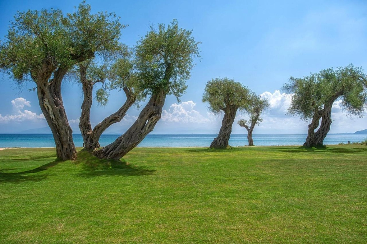 Domes Miramare - Hotel Photo 21