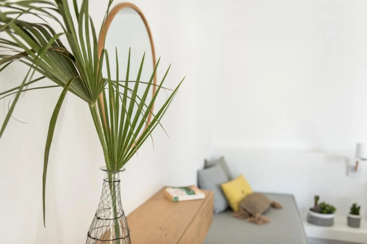 A Hotel Mykonos - Hotel Photo 42