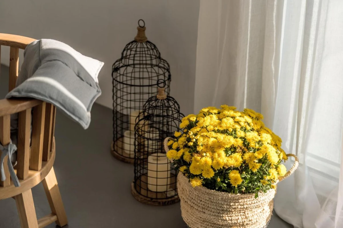 A Hotel Mykonos - Hotel Photo 46