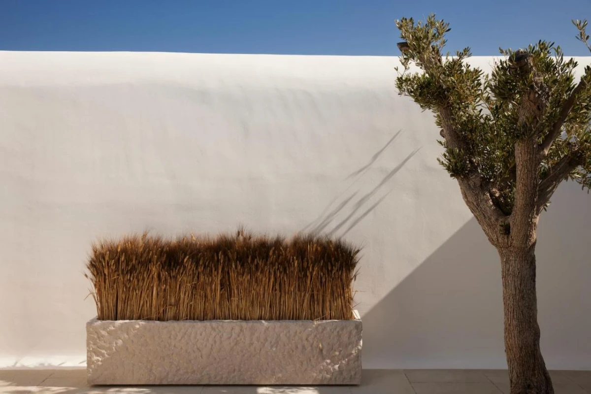 Kalesma - Hotel Photo 19