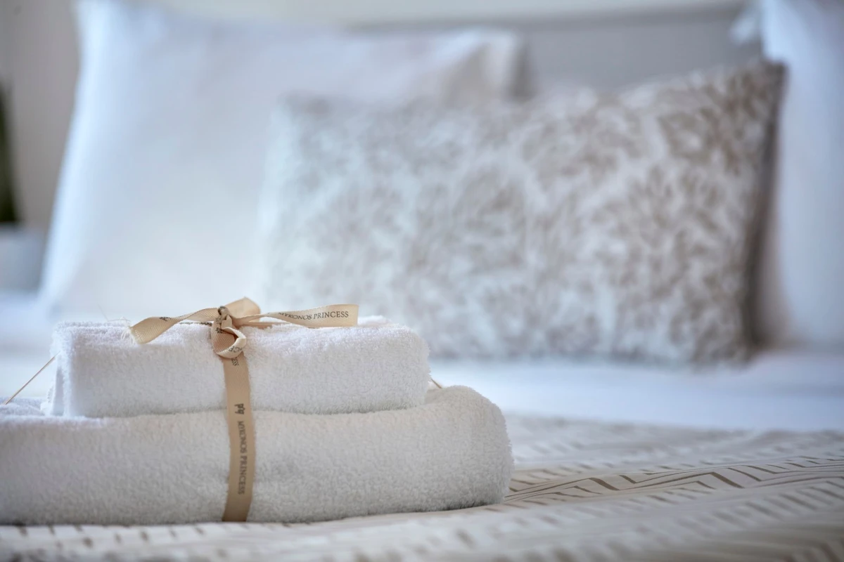 Mykonos Princess - Hotel Photo 1