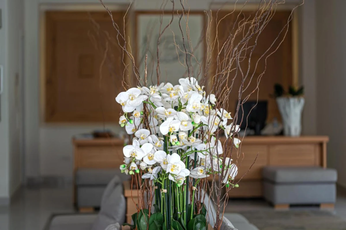 Nissaki Boutique Hotel - Hotel Photo 55