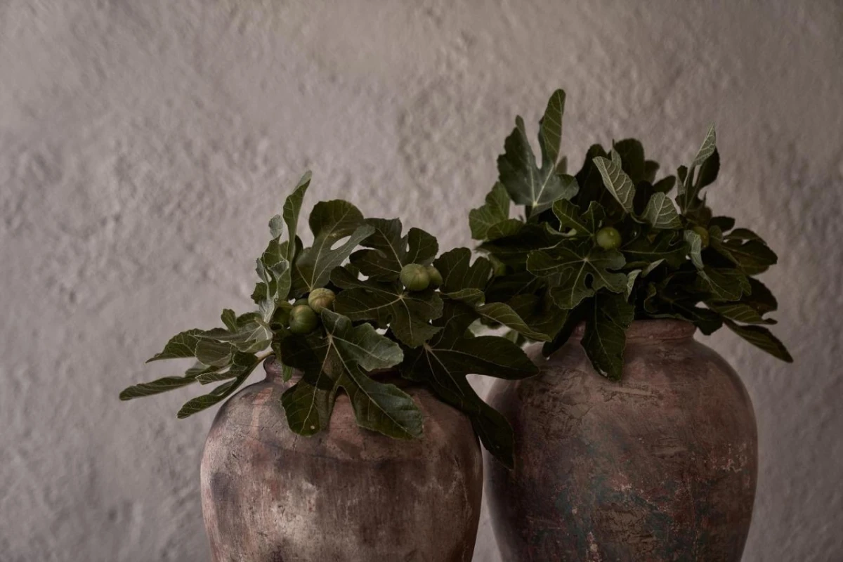 Nomad Mykonos - Hotel Photo 16