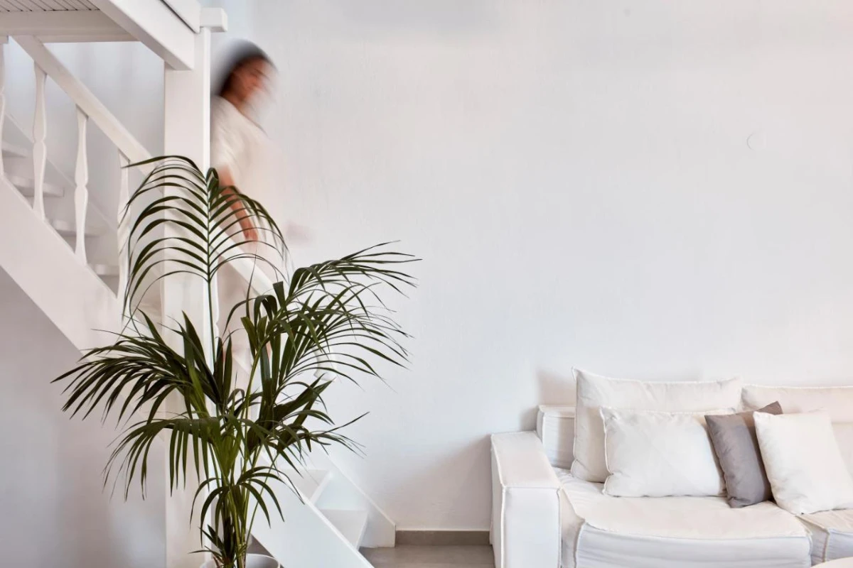 Pietra e Mare Hotel - Hotel Photo 12