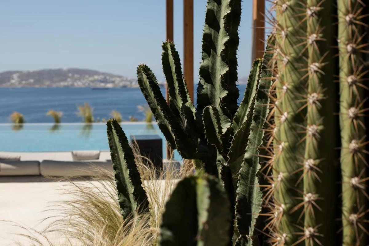 Rocabella Mykonos - Hotel Photo 17