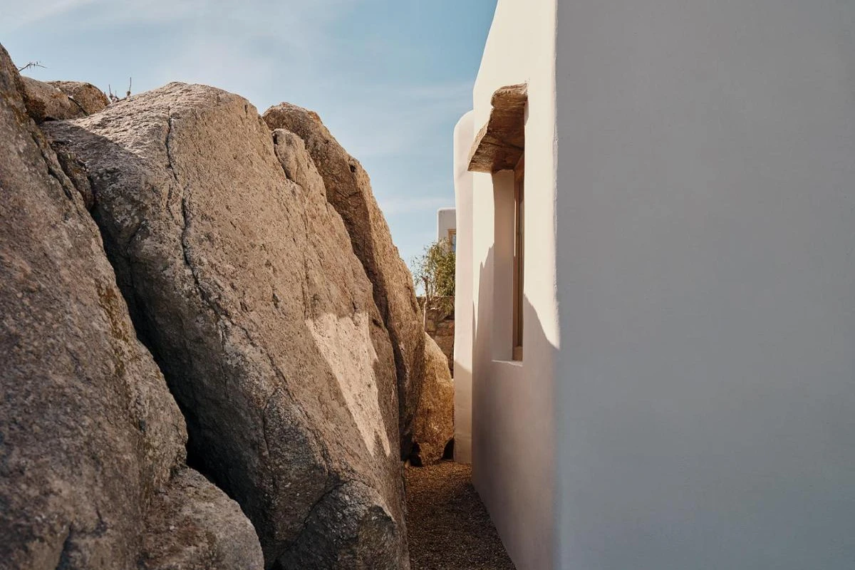 The Wild By Interni - Hotel Photo 4