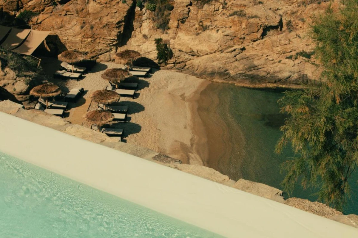 The Wild By Interni - Hotel Photo 12