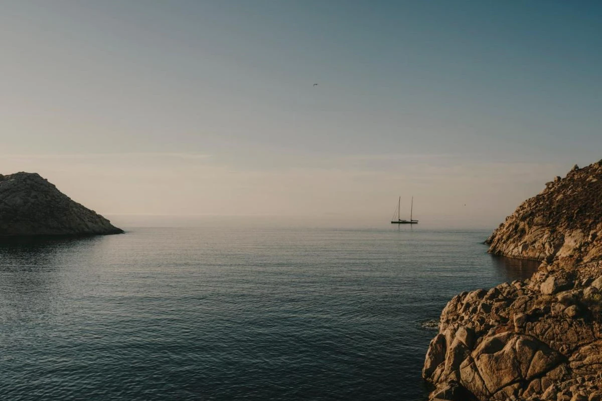 The Wild By Interni - Hotel Photo 18