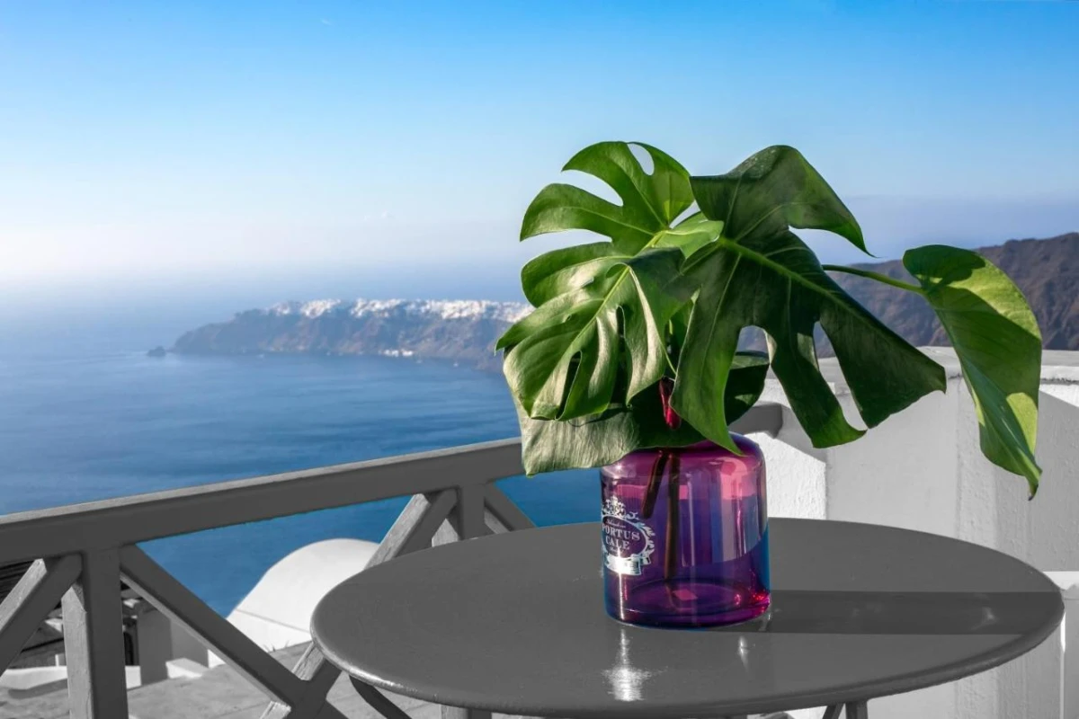 Abelonas Retreat Sunset & Sunrise Lodgings - Hotel Photo 29