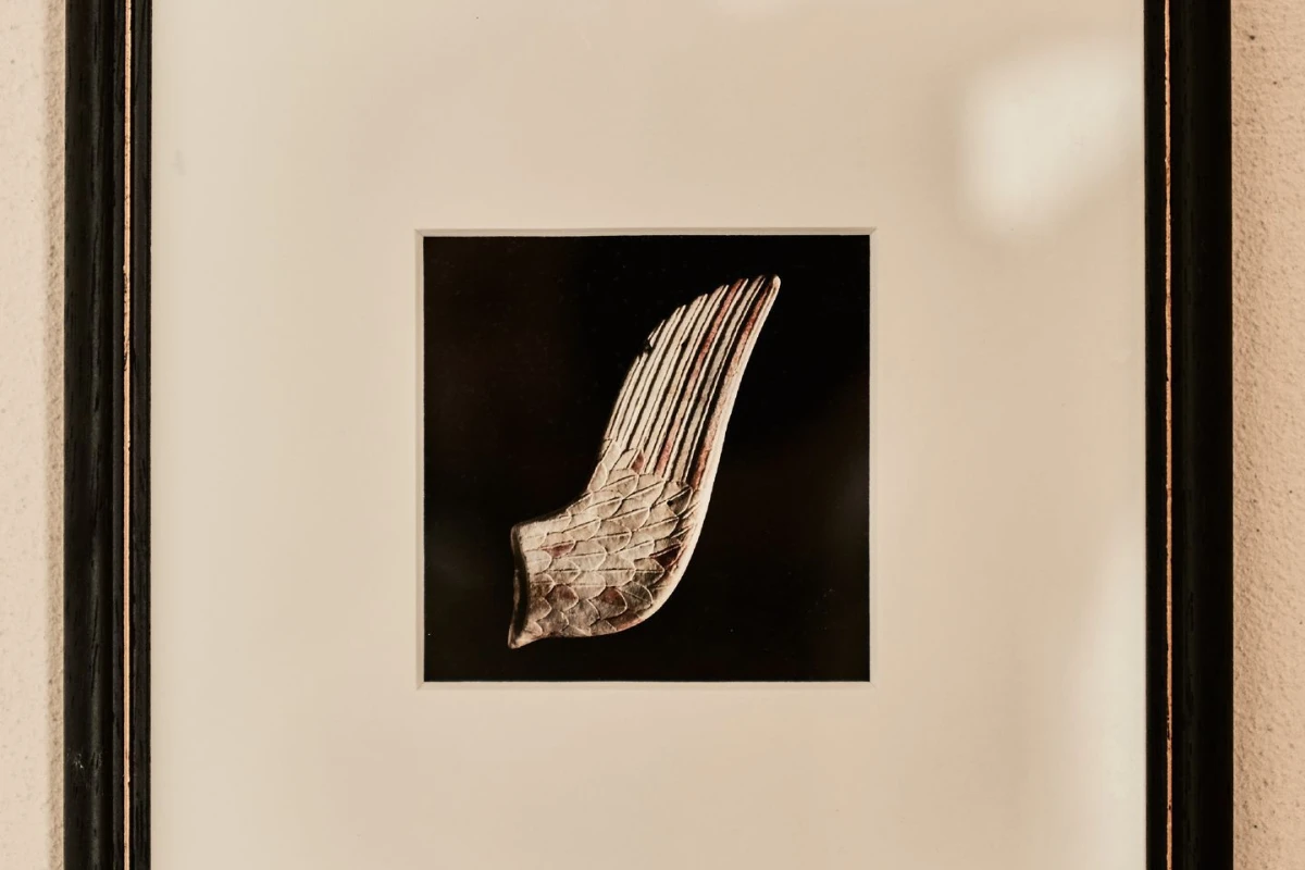 Istoria - Hotel Photo 11