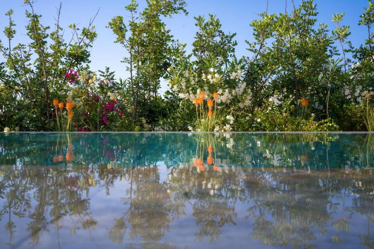 Nous Santorini - Hotel Photo 33