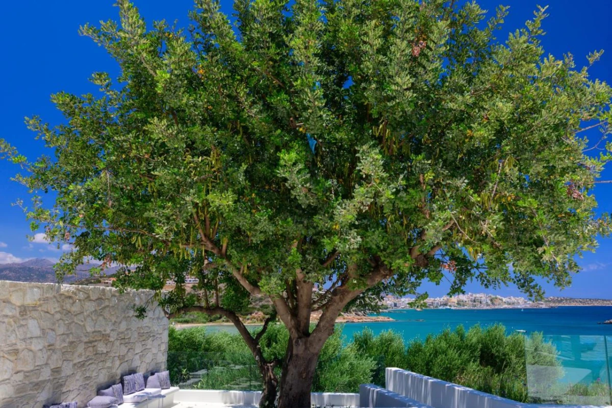 The Island Concept - Hotel Photo 4