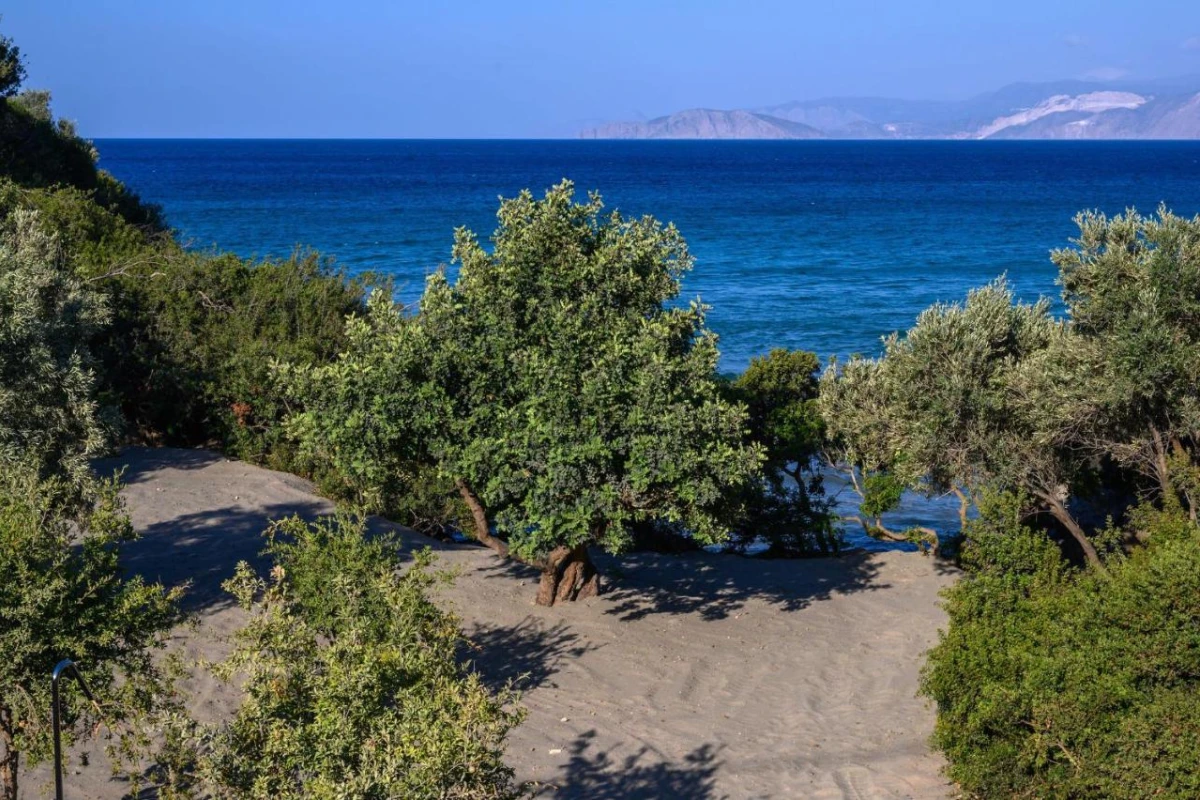 The Island Concept - Hotel Photo 20