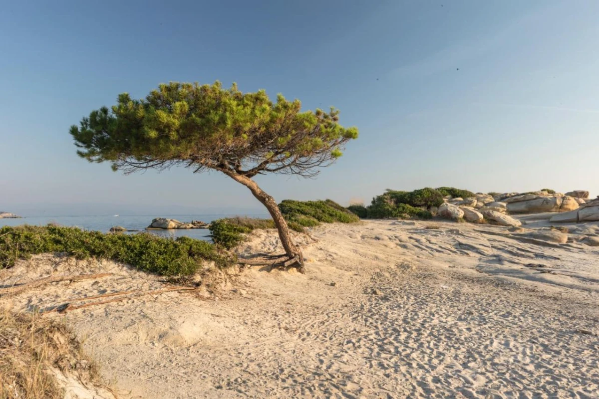 Ekies All Senses Resort - Hotel Photo 37