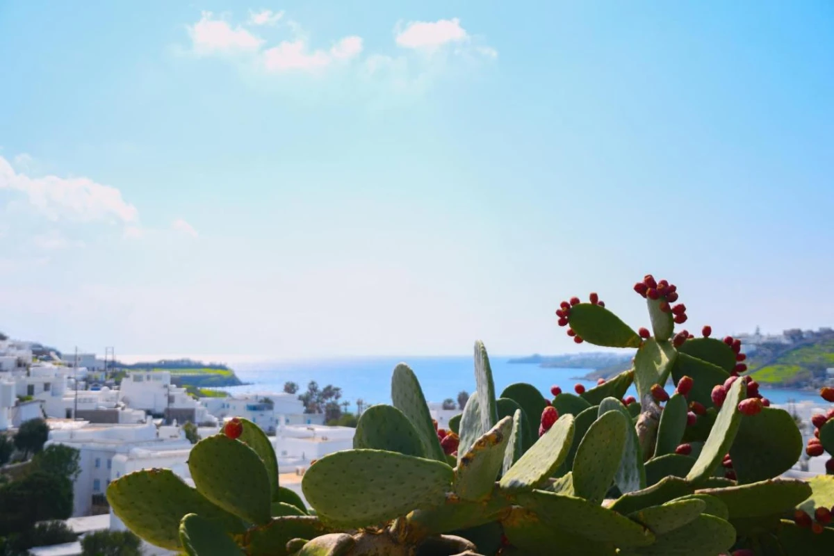 Amperian Mykonos - Hotel Photo 22