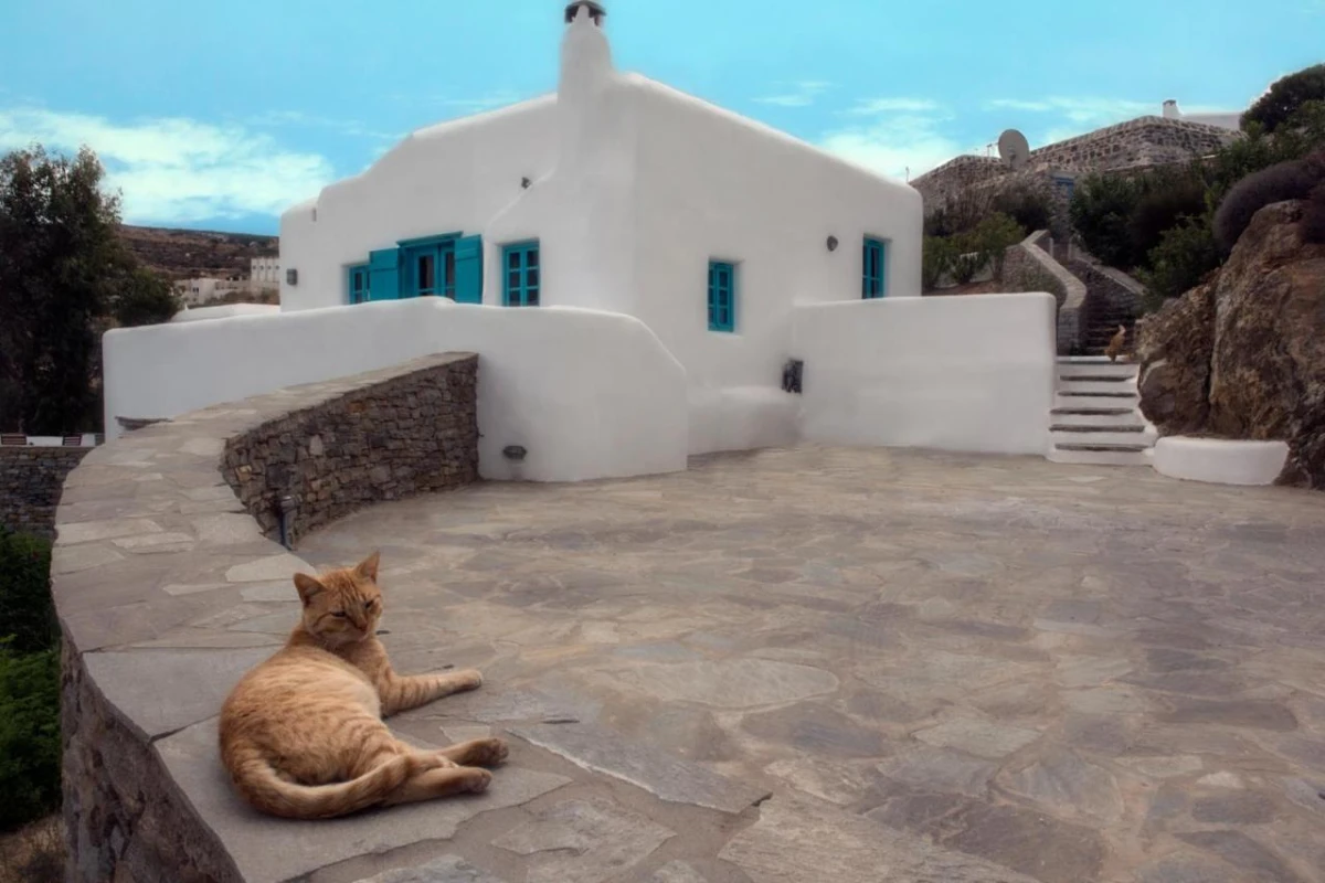 Belogna Ikons - Hotel Photo 11